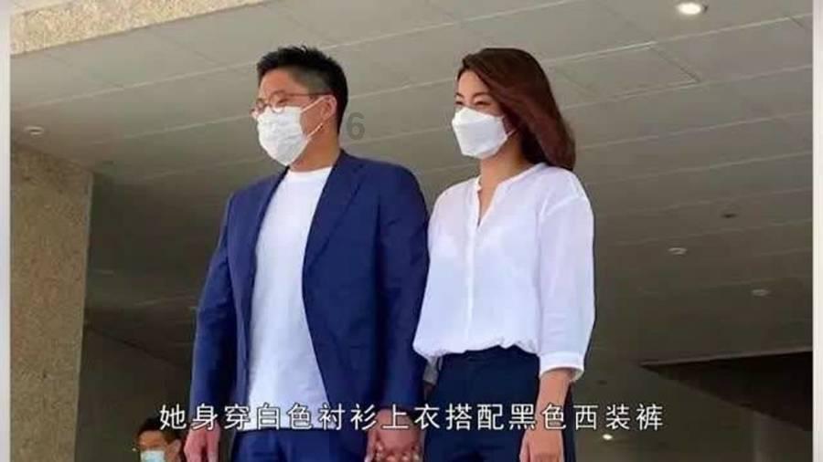 拯救受伤的猫